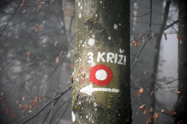 Stolpnik 19.11.2022 - foto