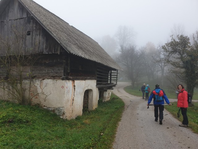 Stolpnik 19.11.2022 - foto