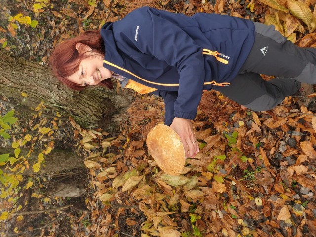 Stolpnik 19.11.2022 - foto