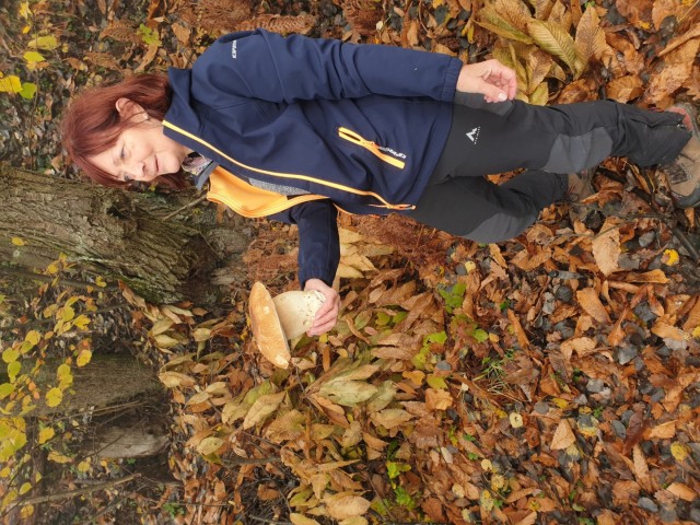 Stolpnik 19.11.2022 - foto