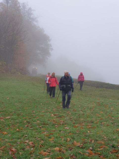 Stolpnik 19.11.2022 - foto