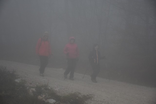 Stolpnik 19.11.2022 - foto
