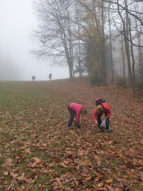 Stolpnik 19.11.2022 - foto