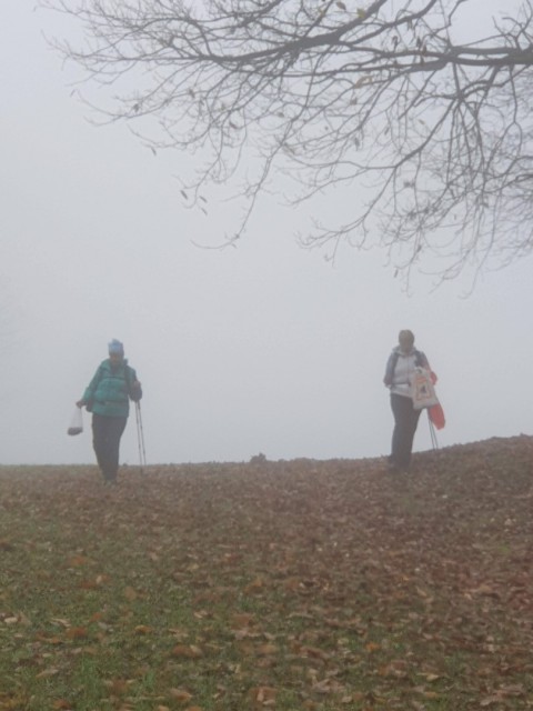 Stolpnik 19.11.2022 - foto