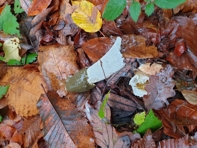 Stolpnik 19.11.2022 - foto