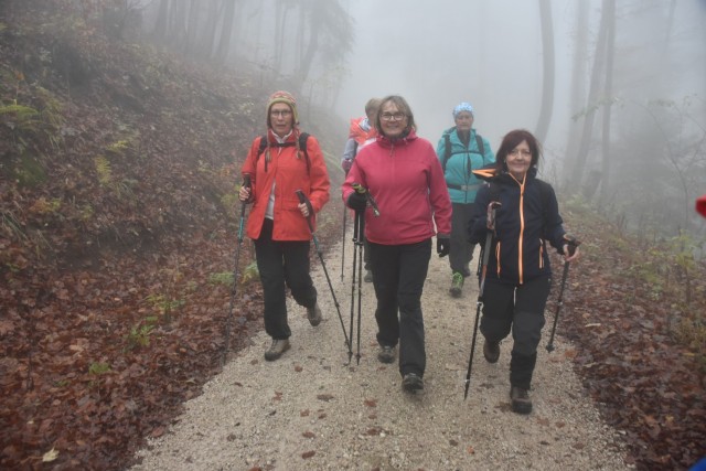 Stolpnik 19.11.2022 - foto
