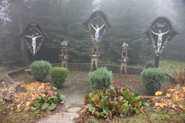 Stolpnik 19.11.2022 - foto