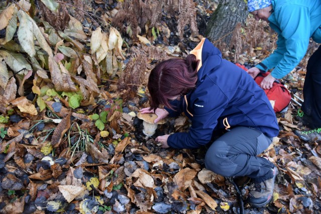 Stolpnik 19.11.2022 - foto