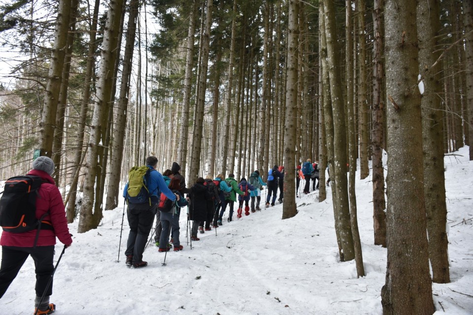 Blegoš 11.2.2023 - foto povečava