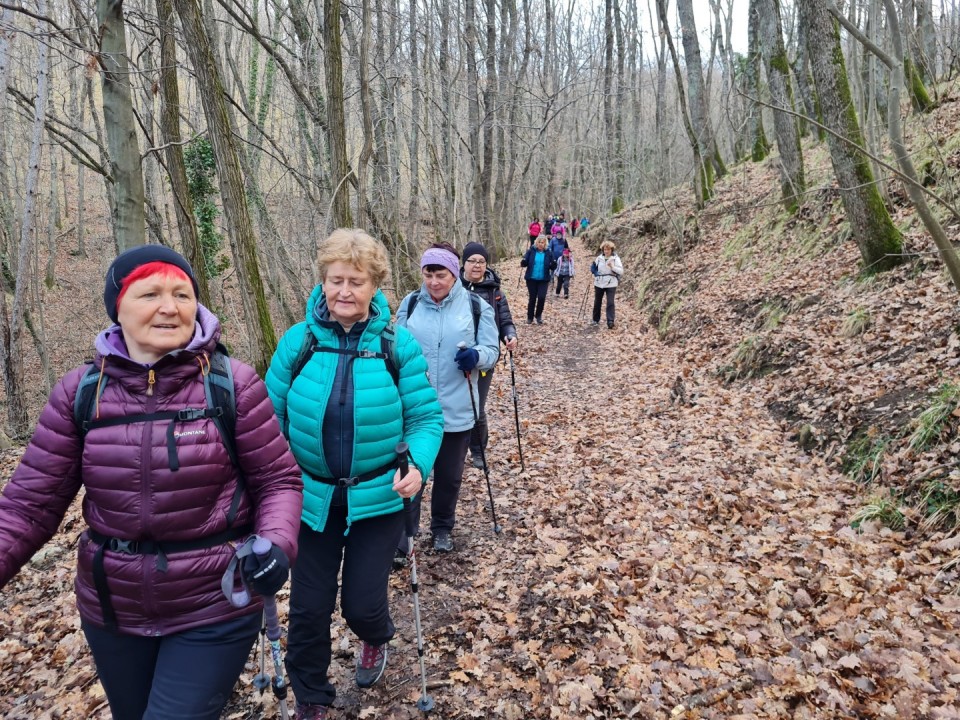 Glinščica 11.3.2023 - foto povečava