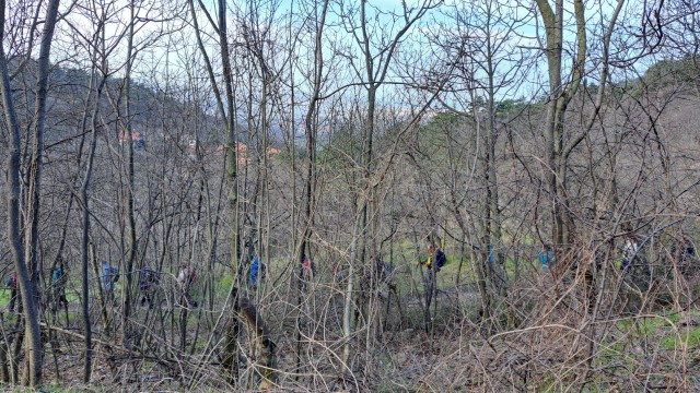 Glinščica 11.3.2023 - foto