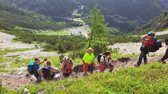 Šitna glava 8.7.2023 - foto