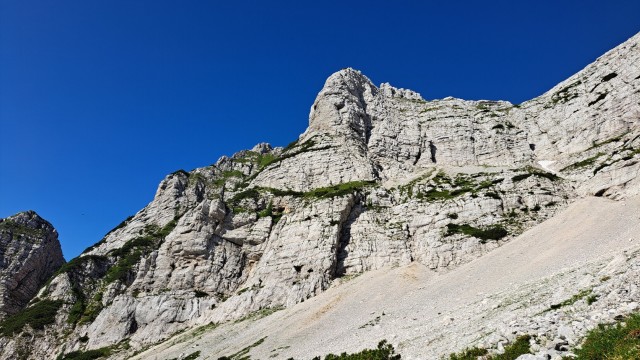 Šitna glava 8.7.2023 - foto