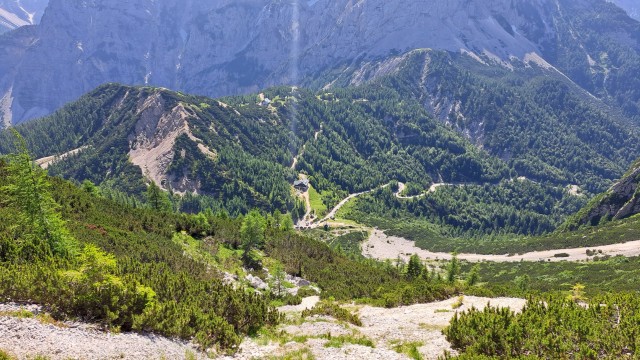 Šitna glava 8.7.2023 - foto