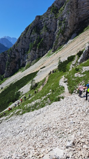 Šitna glava 8.7.2023 - foto
