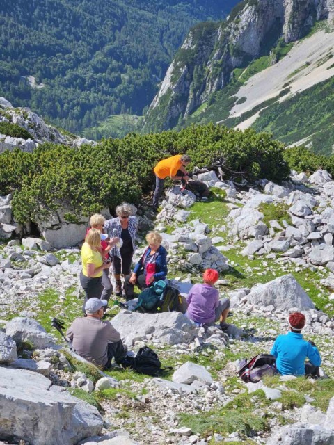 Šitna glava 8.7.2023 - foto