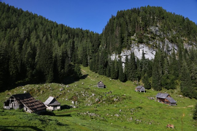 Pršivec 19.8.2023 - foto