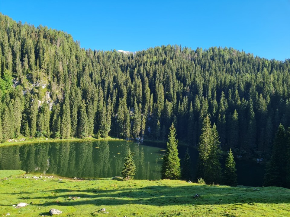 Pršivec 19.8.2023 - foto povečava