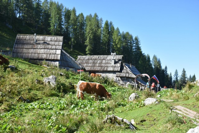 Pršivec 19.8.2023 - foto