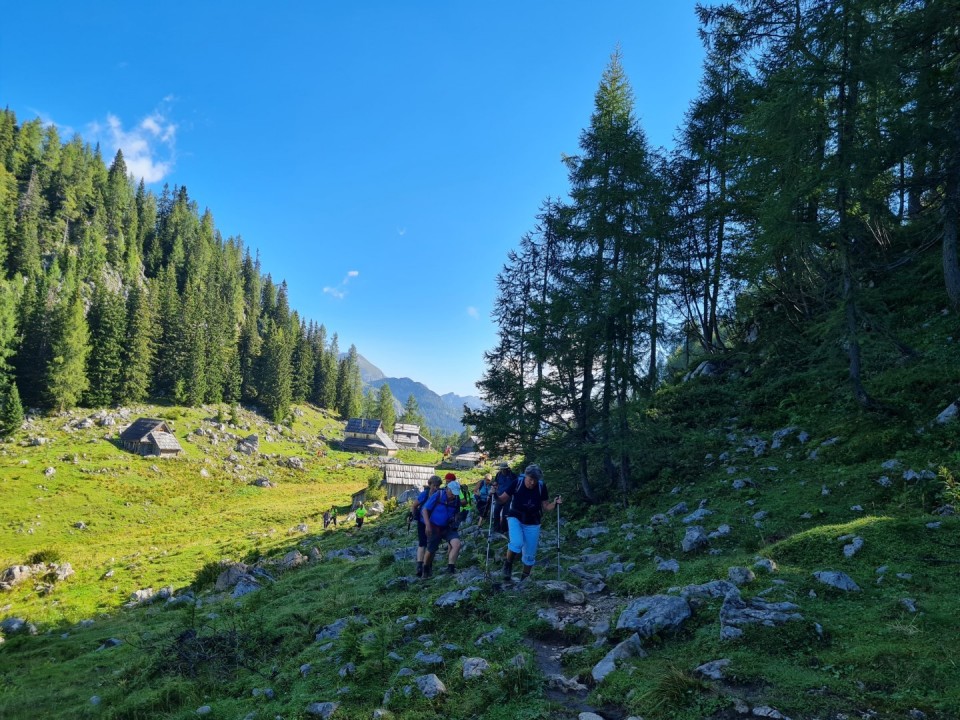 Pršivec 19.8.2023 - foto povečava