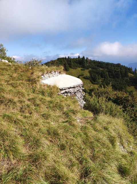 Soriška planina 16.9.2023 - foto