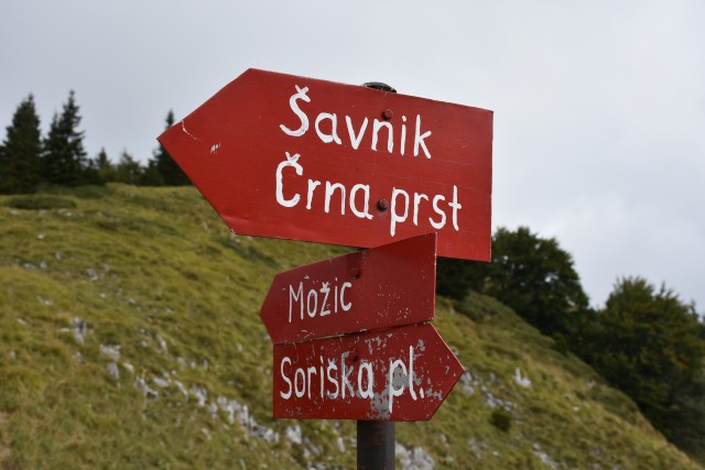 Soriška planina 16.9.2023 - foto