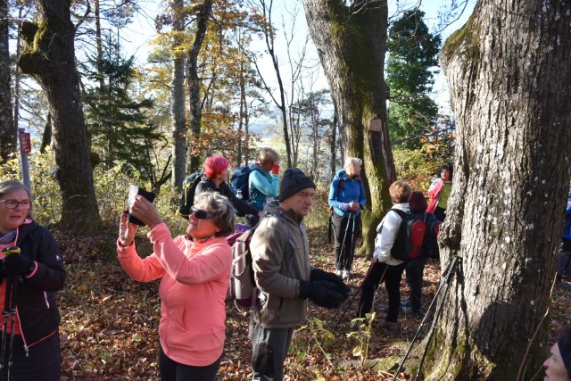 Sveti Jakob nad Preddvorom - foto