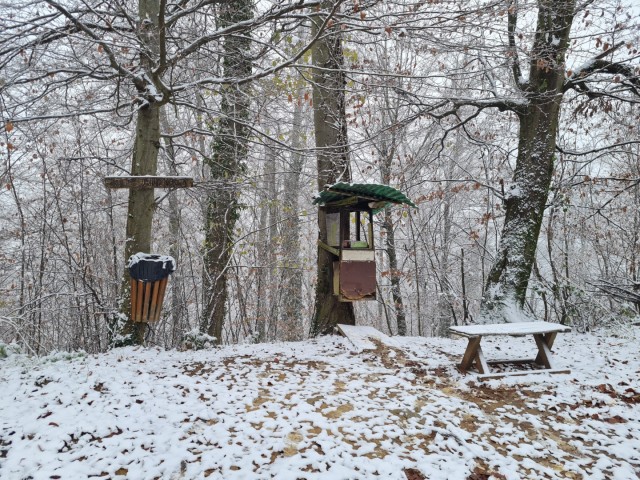 Smledniški (Stari) grad 9.12.2023 - foto