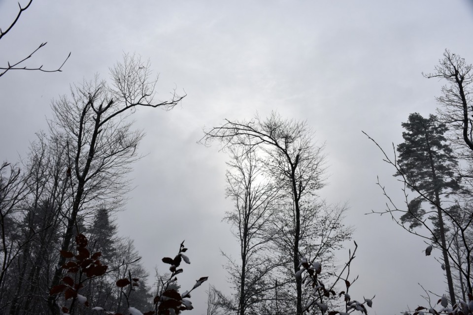 Smledniški (Stari) grad 9.12.2023 - foto povečava