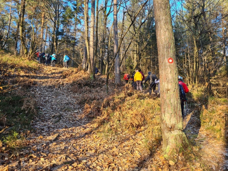 Toško čelo 13.1.2024 - foto povečava