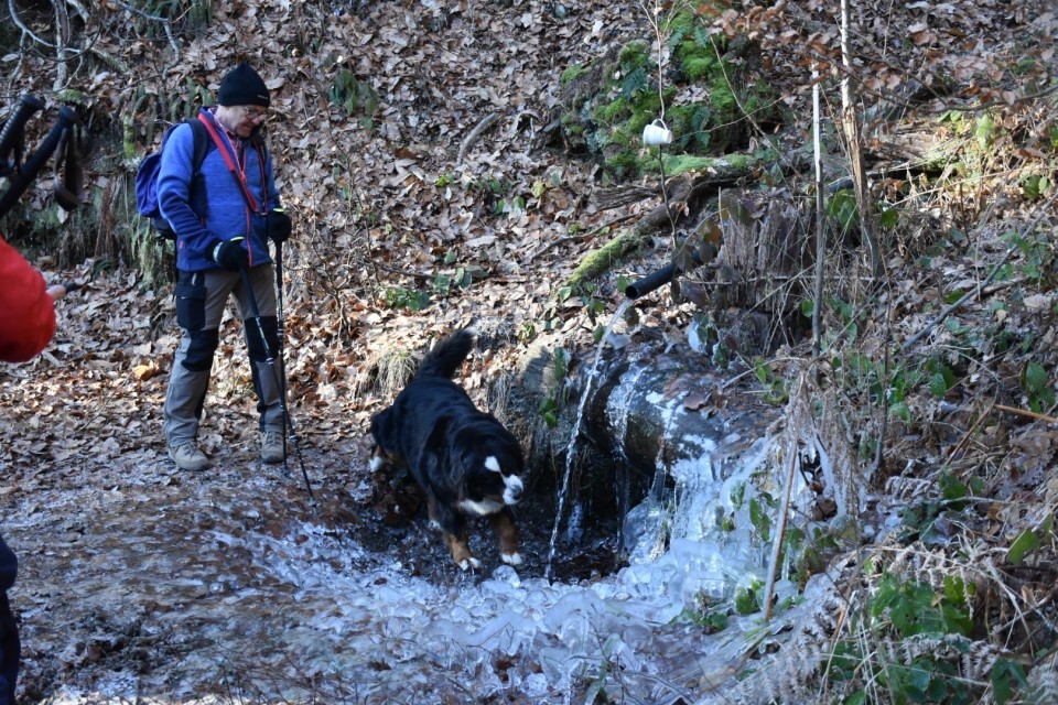 Toško čelo 13.1.2024 - foto povečava