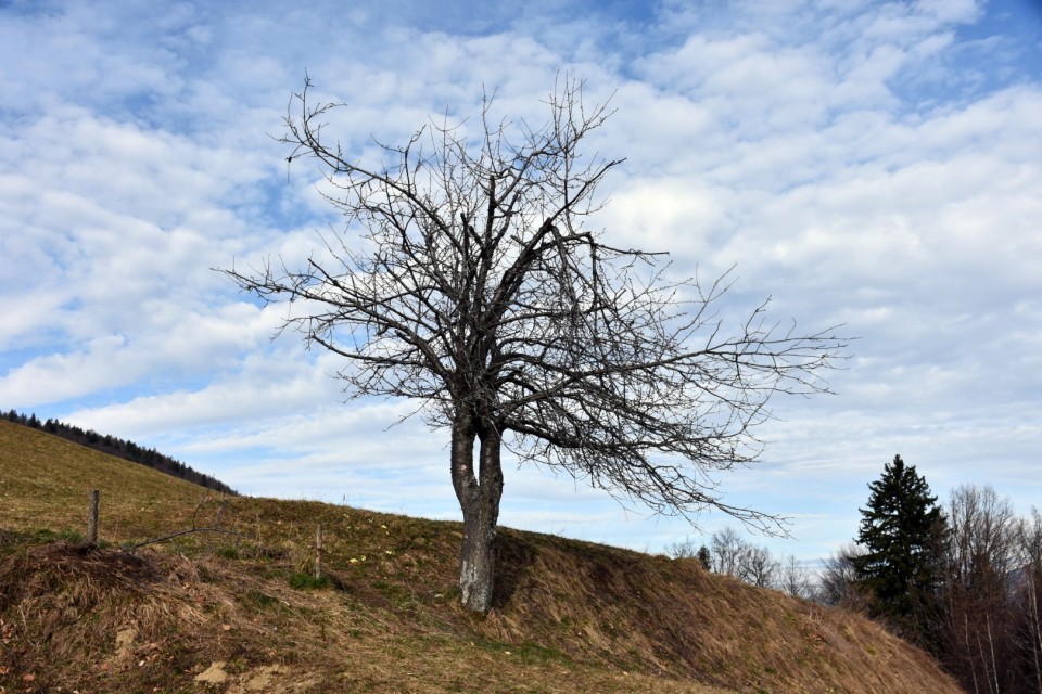 Jamnik 17.2.2024 - foto povečava