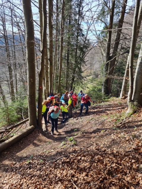 Velika planina 13.4.2024 - foto