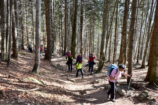 Velika planina 13.4.2024 - foto