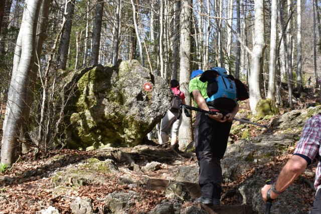 Velika planina 13.4.2024 - foto