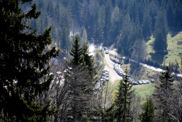 Velika planina 13.4.2024 - foto