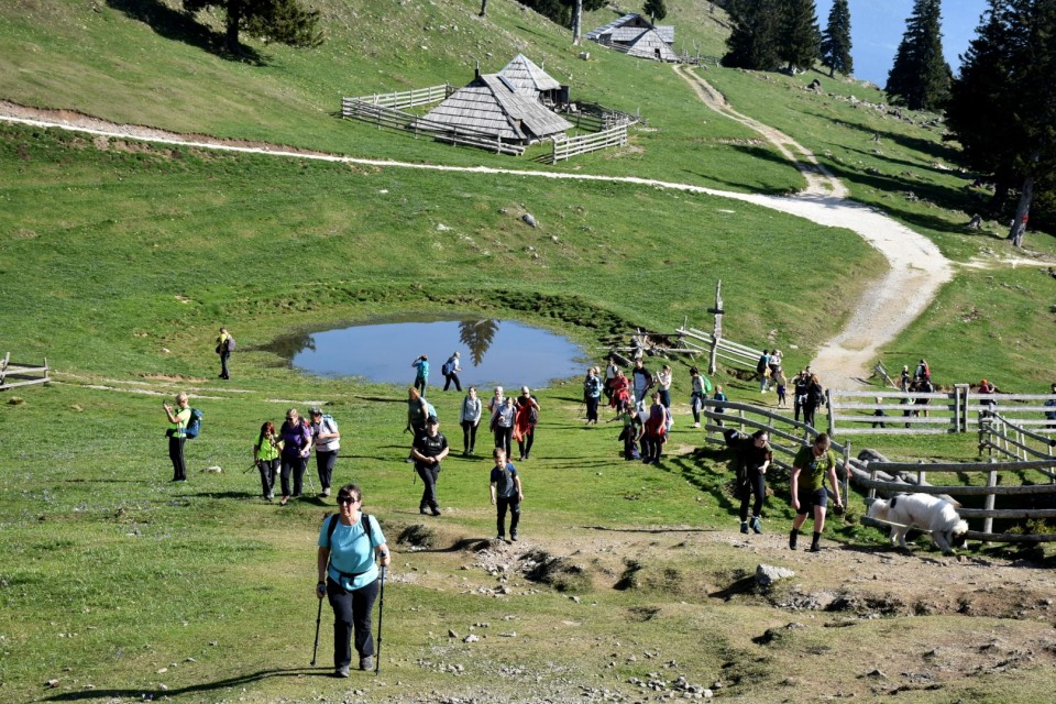 Velika planina 13.4.2024 - foto povečava