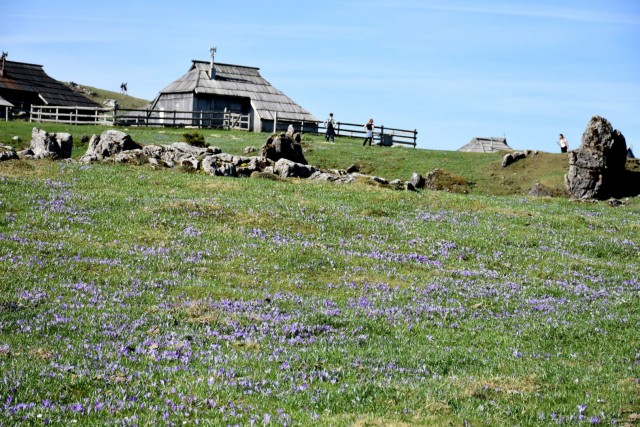 Velika planina 13.4.2024 - foto