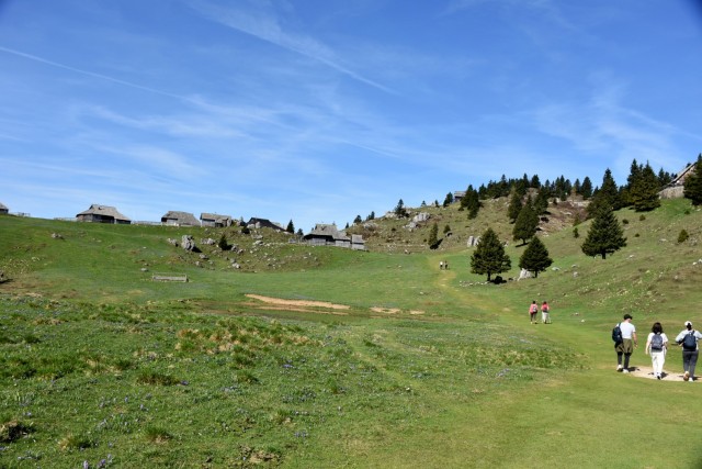 Velika planina 13.4.2024 - foto