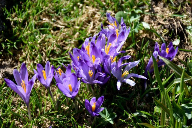 Velika planina 13.4.2024 - foto