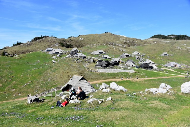 Velika planina 13.4.2024 - foto