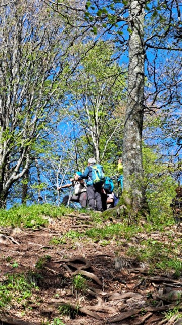 Povna peč 18.5.2024 - foto