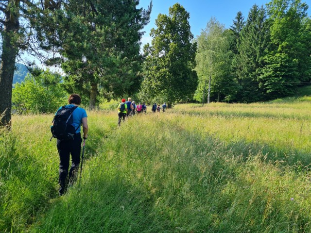 Sv. Ožbolt nad Zmincem 8.6.2024 - foto