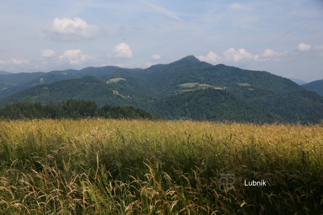 Sv. Ožbolt nad Zmincem 8.6.2024 - foto