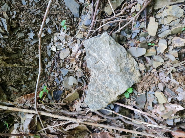 Sv. Ožbolt nad Zmincem 8.6.2024 - foto