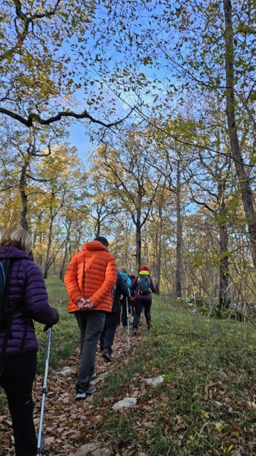 Risnik, Divaška jama 16.11.2024 - foto