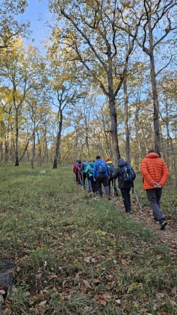 Risnik, Divaška jama 16.11.2024 - foto