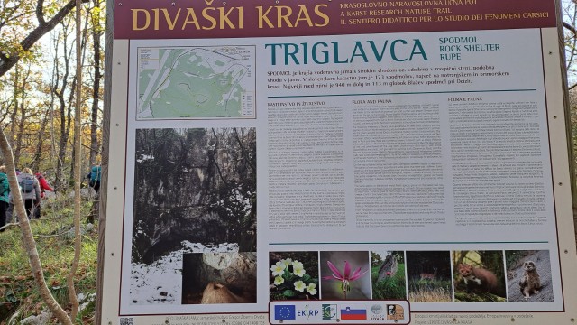 Risnik, Divaška jama 16.11.2024 - foto