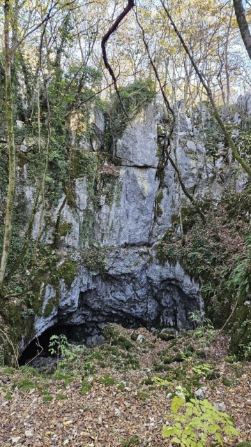 Risnik, Divaška jama 16.11.2024 - foto