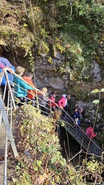 Risnik, Divaška jama 16.11.2024 - foto